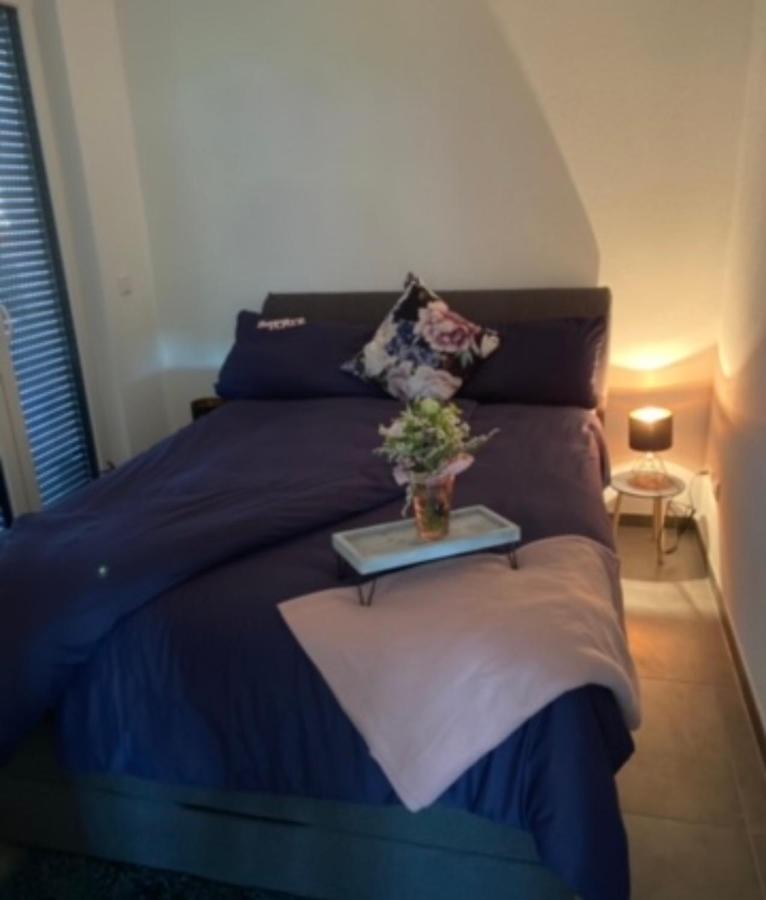 Casaina Apartman Weisweil  Kültér fotó